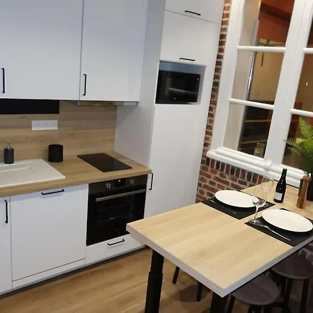 Lägenhet Joli Avec Cachet Dans Le Vieux Lille